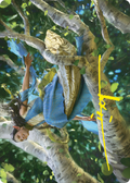 Arwen Undómiel // Arwen Undómiel (ALTR-013) - Tales of Middle-earth Art Series (Borderless) Foil